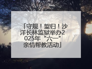 守规！望归！沙洋长林监狱举办2025年“六一”亲情帮教活动
