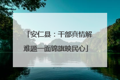安仁县：干部真情解难题一面锦旗映民心