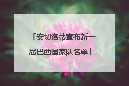 安切洛蒂宣布新一届巴西国家队名单