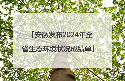 安徽发布2024年全省生态环境状况成绩单
