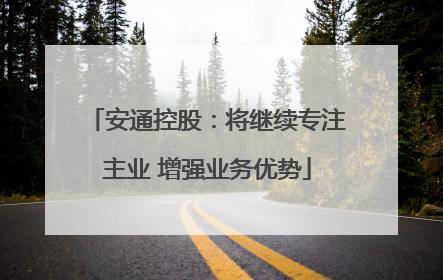 安通控股：将继续专注主业 增强业务优势