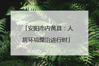 安阳市内黄县：人居环境整治进行时
