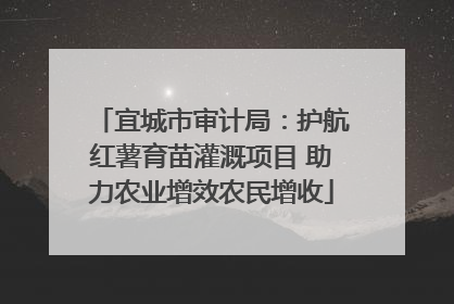 宜城市审计局：护航红薯育苗灌溉项目 助力农业增效农民增收