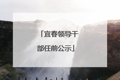 宜春领导干部任前公示