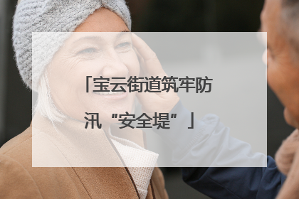 宝云街道筑牢防汛“安全堤”