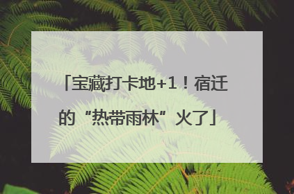 宝藏打卡地+1！宿迁的“热带雨林”火了