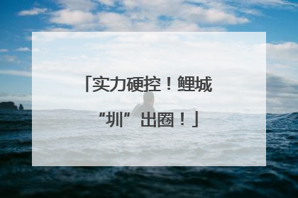 实力硬控！鲤城“圳”出圈！