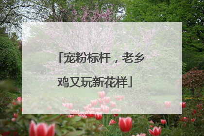 宠粉标杆，老乡鸡又玩新花样