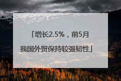 增长2.5%，前5月我国外贸保持较强韧性