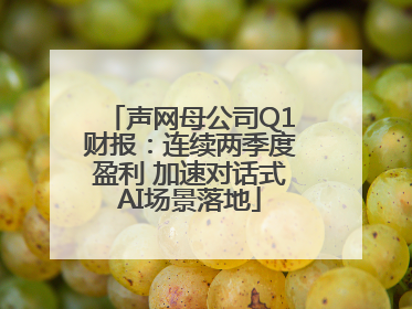 声网母公司Q1财报：连续两季度盈利 加速对话式AI场景落地