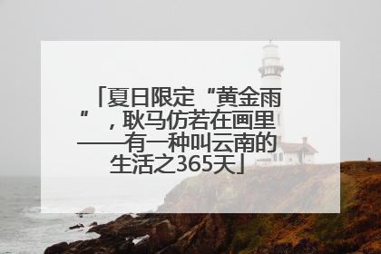 夏日限定“黄金雨”，耿马仿若在画里——有一种叫云南的生活之365天