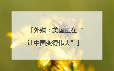 外媒：美国正在“让中国变得伟大”