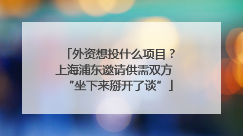 外资想投什么项目？上海浦东邀请供需双方“坐下来掰开了谈”