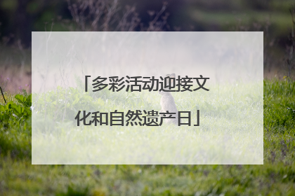 多彩活动迎接文化和自然遗产日