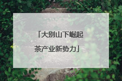 大别山下崛起茶产业新势力