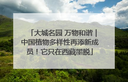 大城名园 万物和谐｜中国植物多样性再添新成员！它只在西藏墨脱