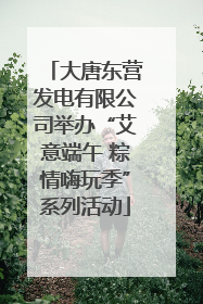大唐东营发电有限公司举办“艾意端午 粽情嗨玩季”系列活动