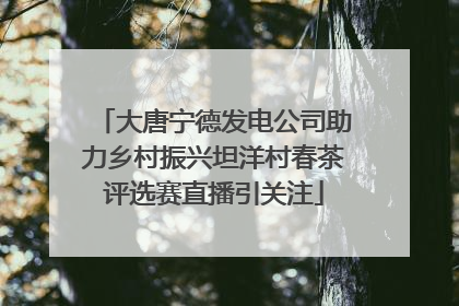 大唐宁德发电公司助力乡村振兴坦洋村春茶评选赛直播引关注
