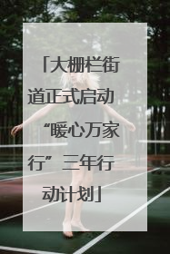 大栅栏街道正式启动“暖心万家行”三年行动计划