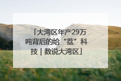大湾区年产29万吨背后的给“荔”科技｜数说大湾区