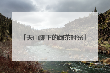 天山脚下的闽茶时光