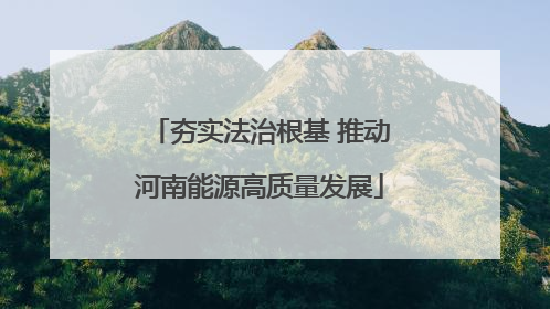 夯实法治根基 推动河南能源高质量发展