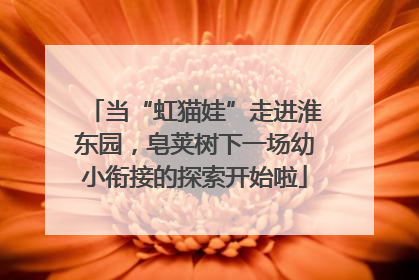 当“虹猫娃”走进淮东园，皂荚树下一场幼小衔接的探索开始啦