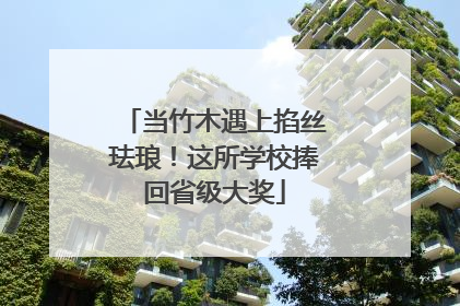 当竹木遇上掐丝珐琅！这所学校捧回省级大奖
