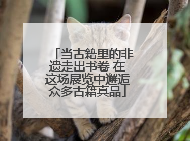 当古籍里的非遗走出书卷 在这场展览中邂逅众多古籍真品