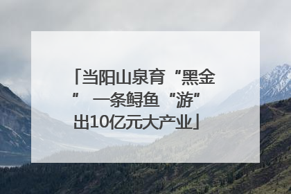 当阳山泉育“黑金” 一条鲟鱼“游”出10亿元大产业