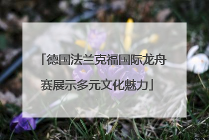 德国法兰克福国际龙舟赛展示多元文化魅力
