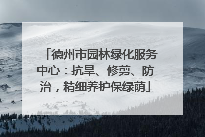 德州市园林绿化服务中心：抗旱、修剪、防治，精细养护保绿荫