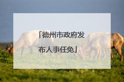 德州市政府发布人事任免