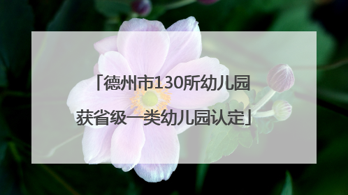 德州市130所幼儿园获省级一类幼儿园认定