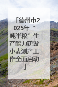 德州市2025年“吨半粮”生产能力建设小麦测产工作全面启动