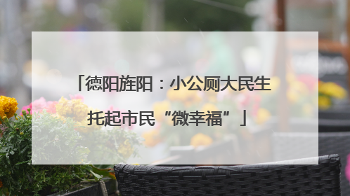 德阳旌阳：小公厕大民生 托起市民“微幸福”