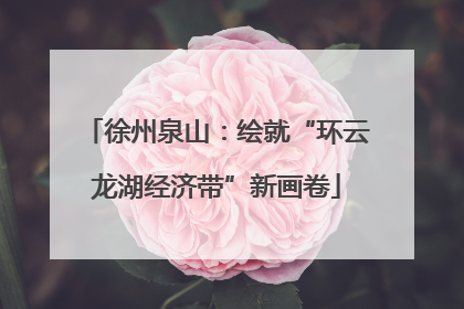徐州泉山：绘就“环云龙湖经济带”新画卷