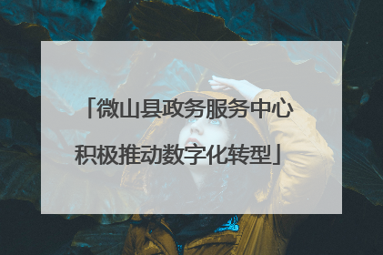 微山县政务服务中心积极推动数字化转型