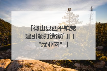 微山县西平镇党建引领打造家门口“就业圈”