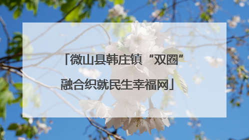 微山县韩庄镇“双圈”融合织就民生幸福网