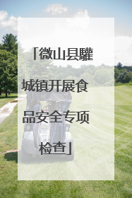 微山县驩城镇开展食品安全专项检查