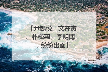 尹锡悦、文在寅、朴槿惠、李明博，纷纷出面
