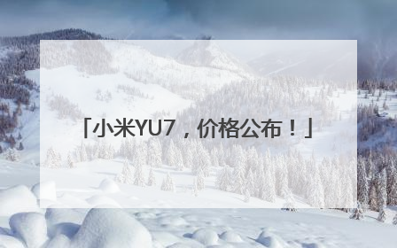 小米YU7，价格公布！
