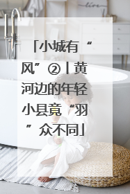 小城有“风”②丨黄河边的年轻小县竟“羽”众不同