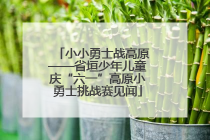 小小勇士战高原——省垣少年儿童庆“六一”高原小勇士挑战赛见闻