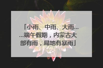 小雨、中雨、大雨……端午假期，内蒙古大部有雨，局地有暴雨