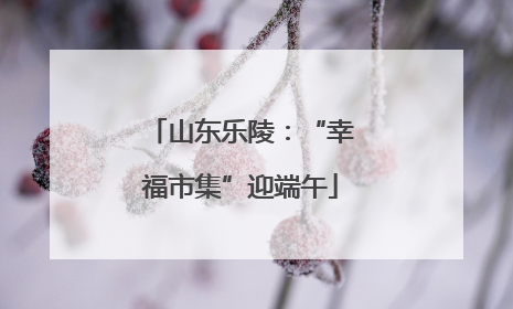 山东乐陵：“幸福市集”迎端午