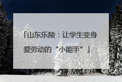 山东乐陵：让学生变身爱劳动的“小能手”