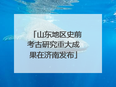山东地区史前考古研究重大成果在济南发布