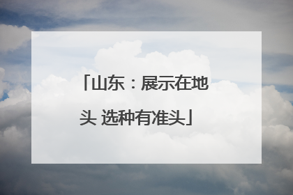 山东：展示在地头 选种有准头